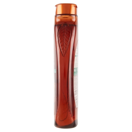 Garnier Ultra Dolce Shampoo all' Olio di Cocco e Burro di Cacao per capelli lisci, 300 ml